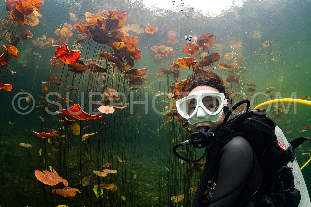 cave diver instructor leading a group of divers in a mexican cenote underwater