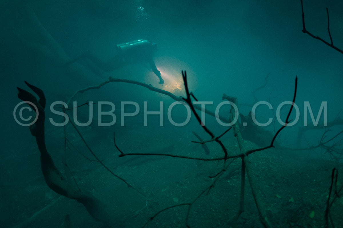 Photo de instructeur de plongée spéléo dirigeant un groupe de plongeurs dans un cenote mexicain sous l'eau