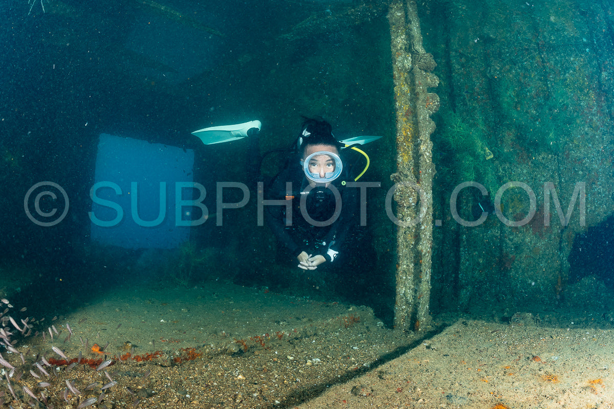 Photo de Plongeur sur une épave dans la mer de Cortez