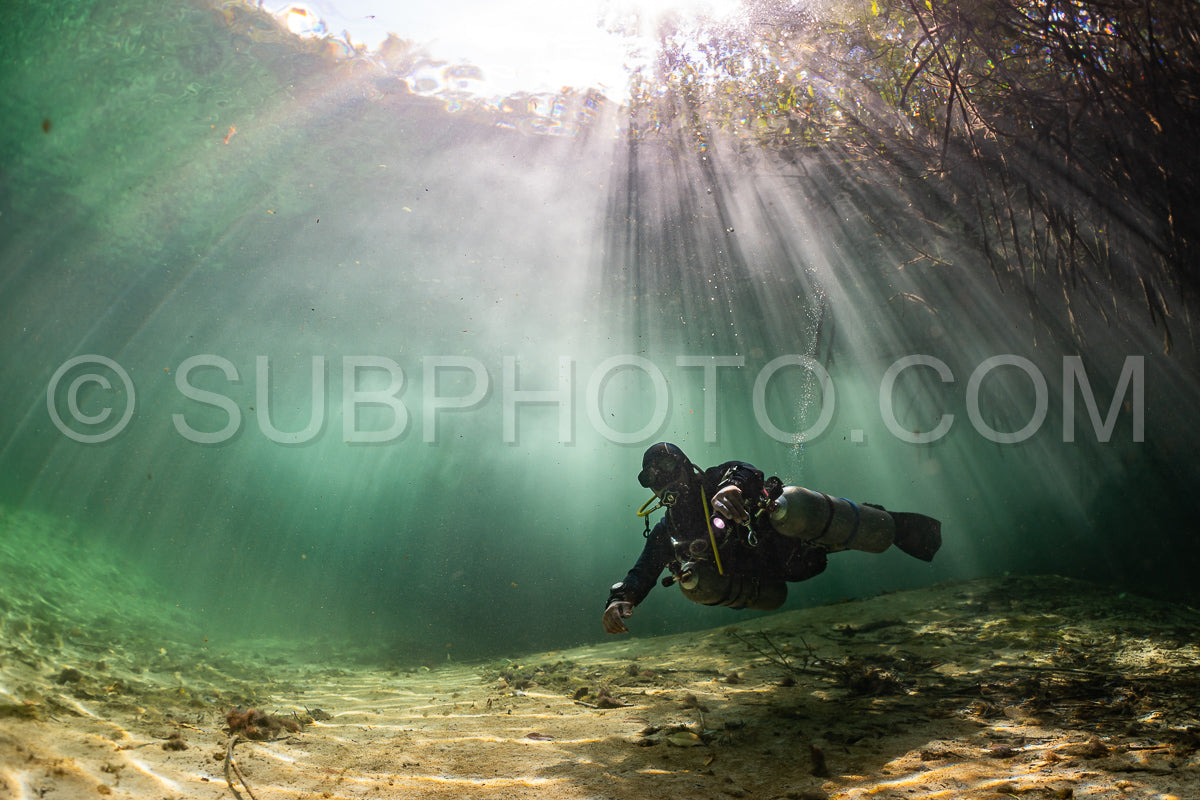 Photo de instructeur de plongée spéléo dirigeant un groupe de plongeurs dans un cenote mexicain sous l'eau