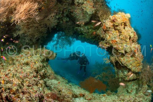 Photo de deux plongeurs sous une arche de corail