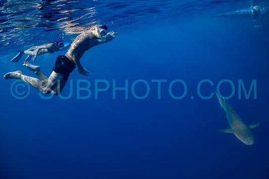 Photo de Un plongeur avec tuba nageant avec un requin-nourrice aux Maldives