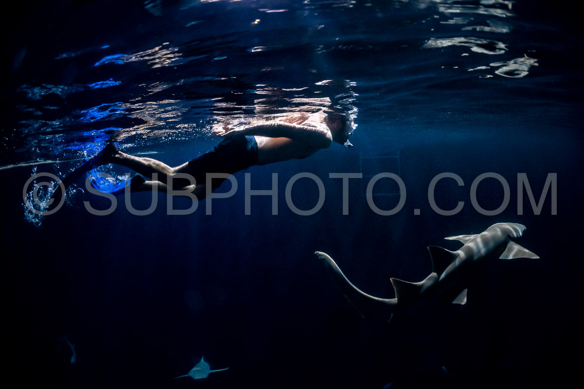Photo de Plongeur avec tuba nageant avec un requin nourrice la nuit aux Maldives
