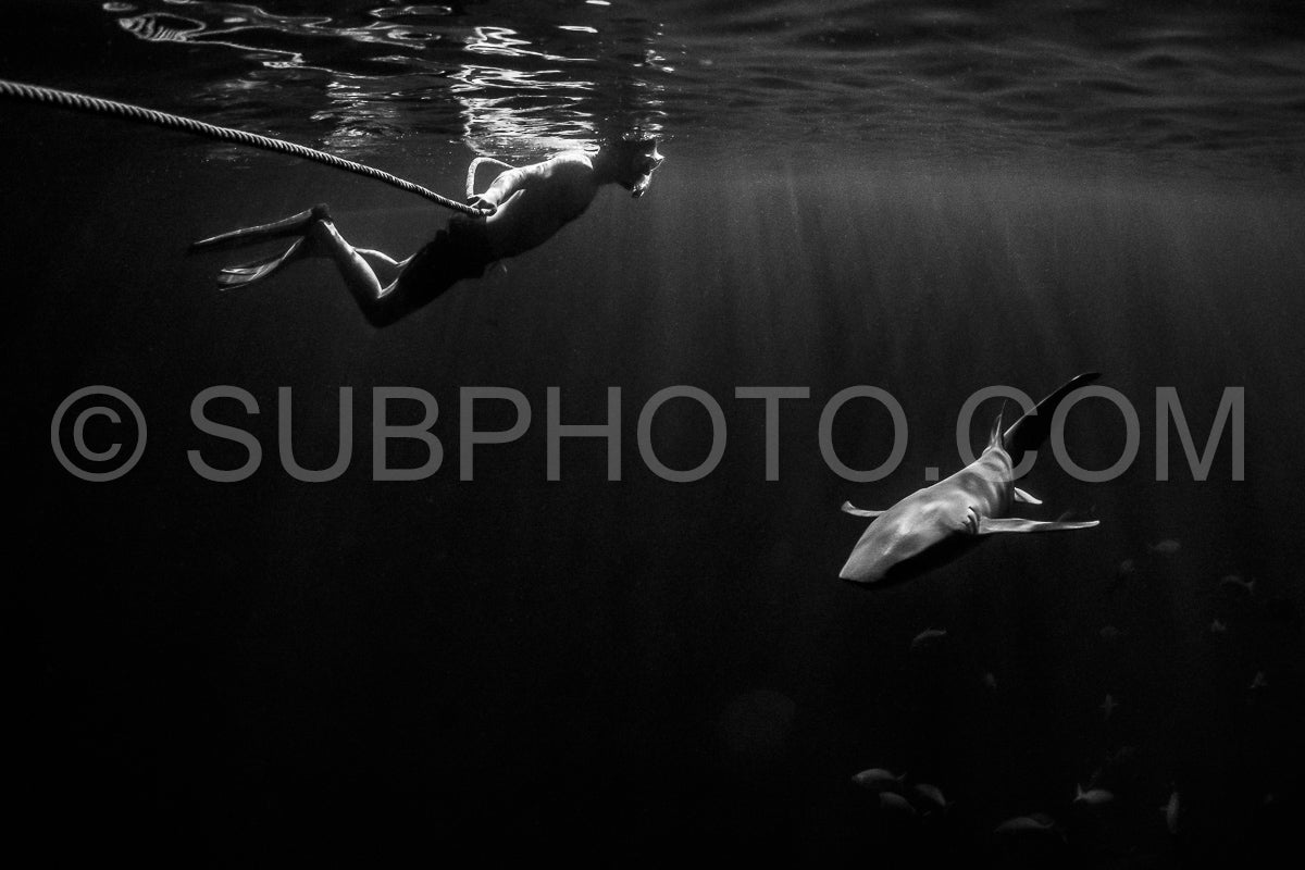 Photo de Plongeur avec tuba nageant avec un requin nourrice la nuit aux Maldives
