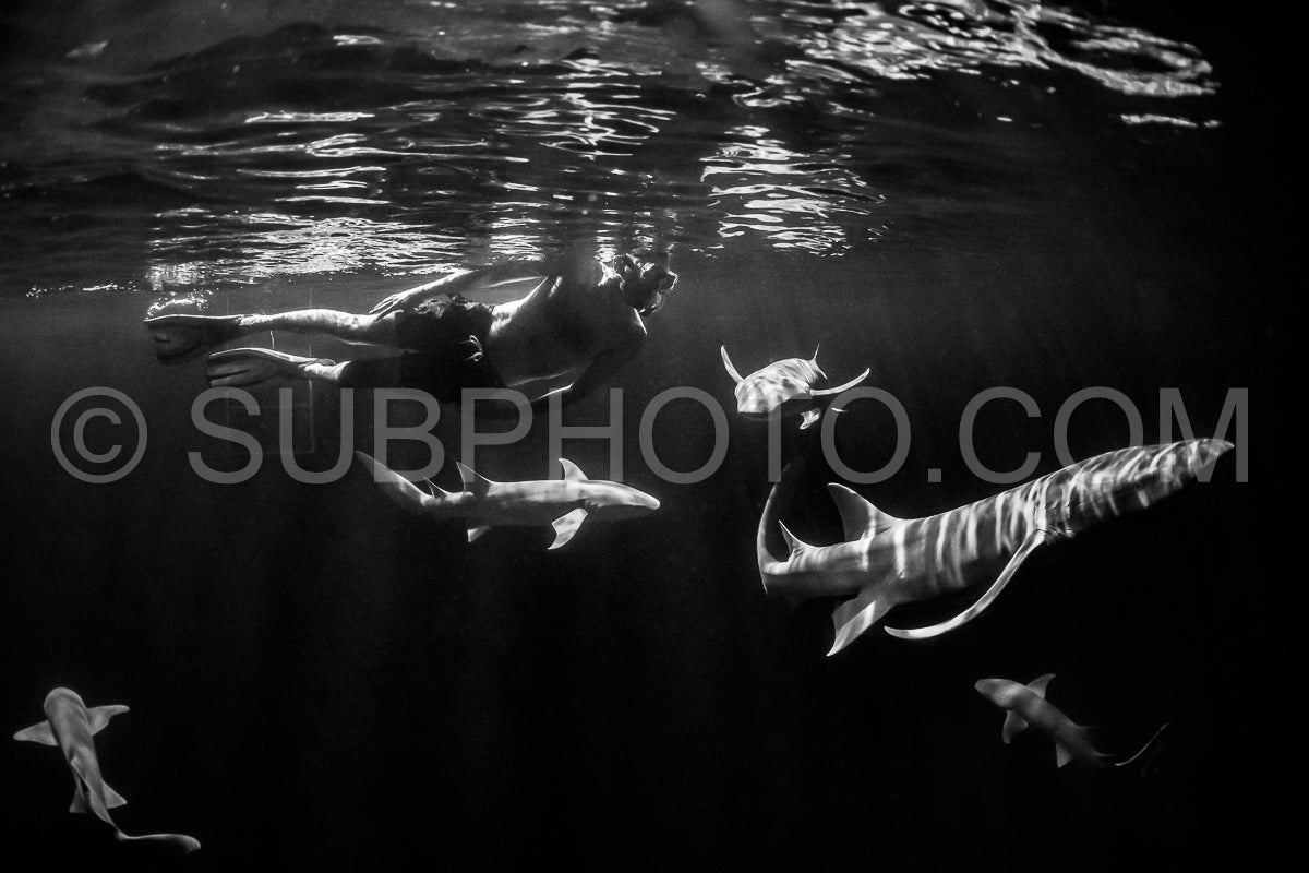 Photo de Plongeur avec tuba nageant avec un requin nourrice la nuit aux Maldives