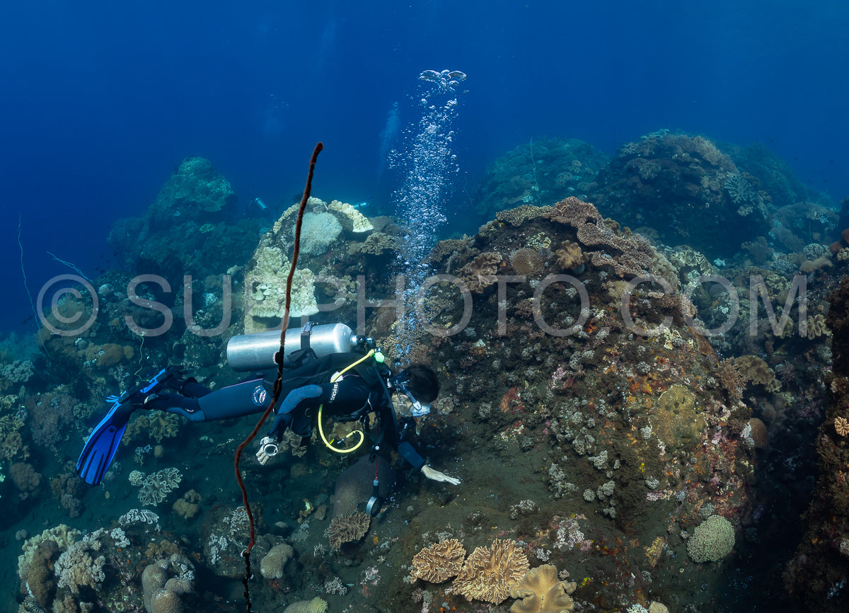 Photo de femme plongeuse regardant l'eau chaude provenant du volcan Pulau Sangeang